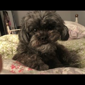 Meet your Posher, Leslie